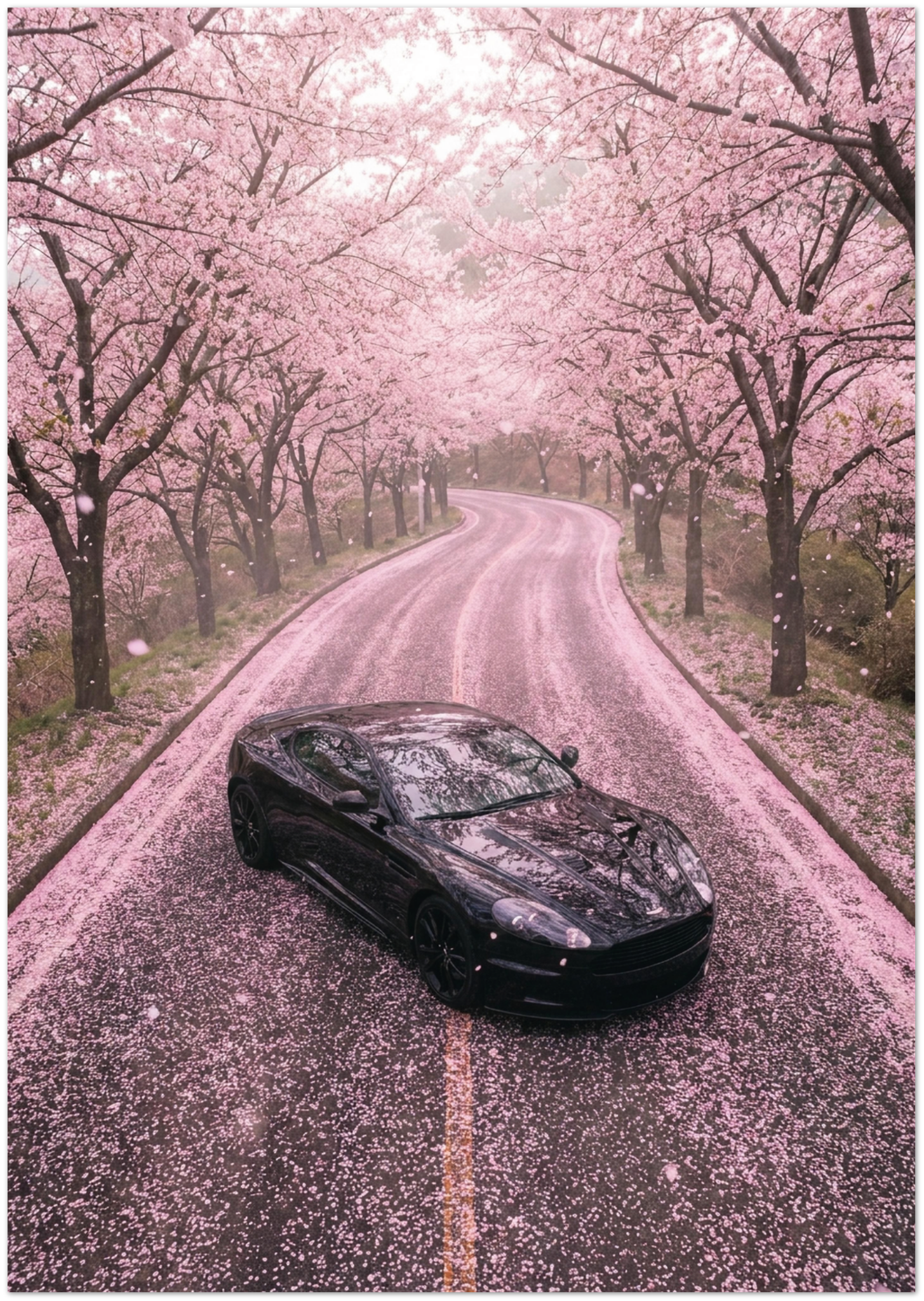 1e3b8b8e-d5e3-455c-b8b1-0afa4043d20c