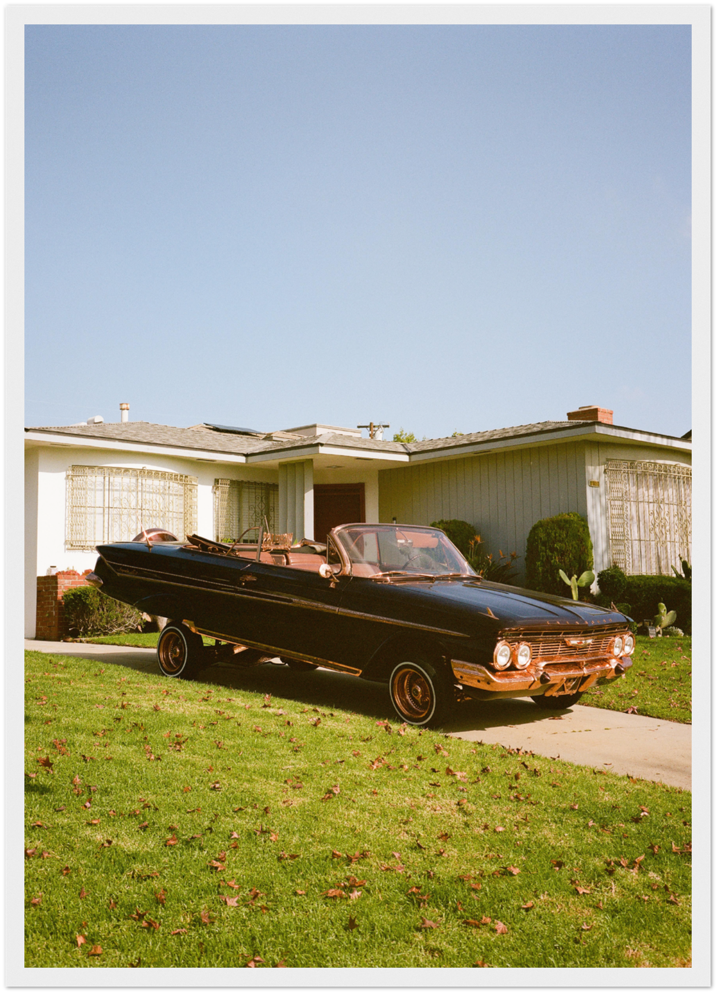297d5e46-7604-4f1c-a43e-5b982fc788e8