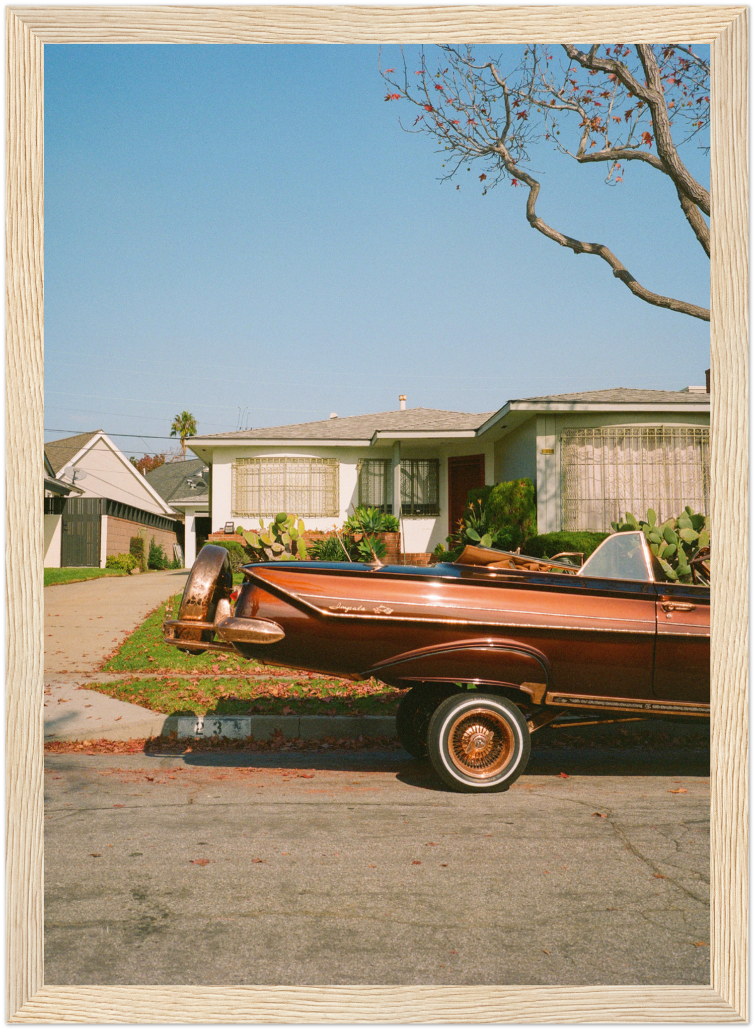 33e3b33f-7b0f-4e20-8f47-8d896459ca28