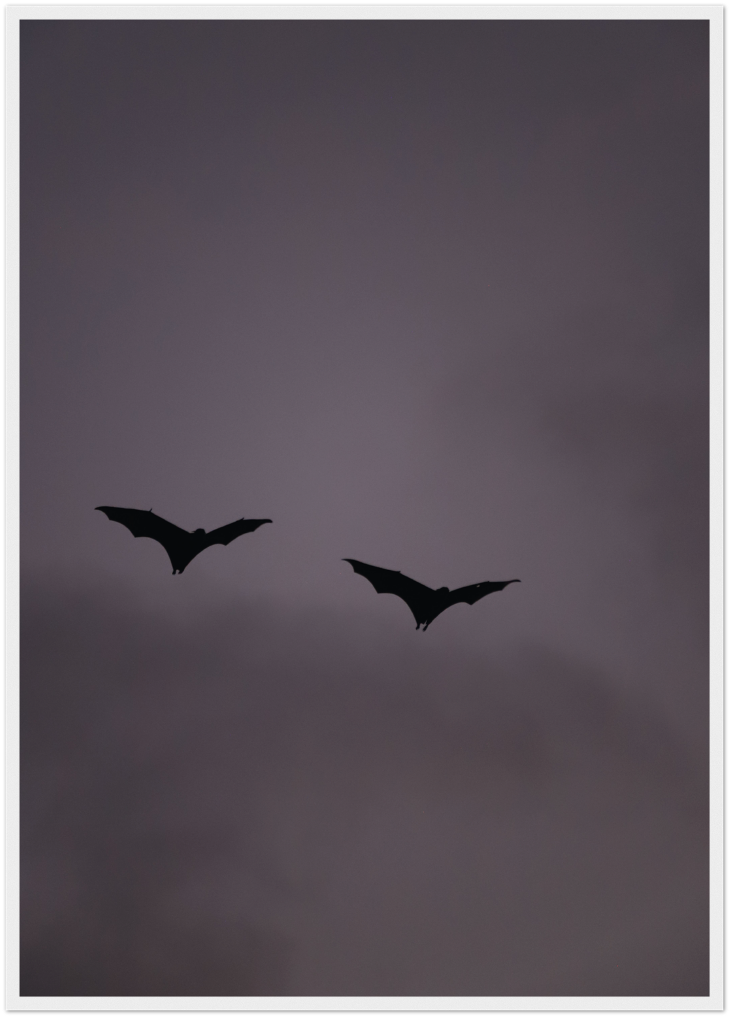 a15d1686-6e0c-4350-9497-eb789c13b553
