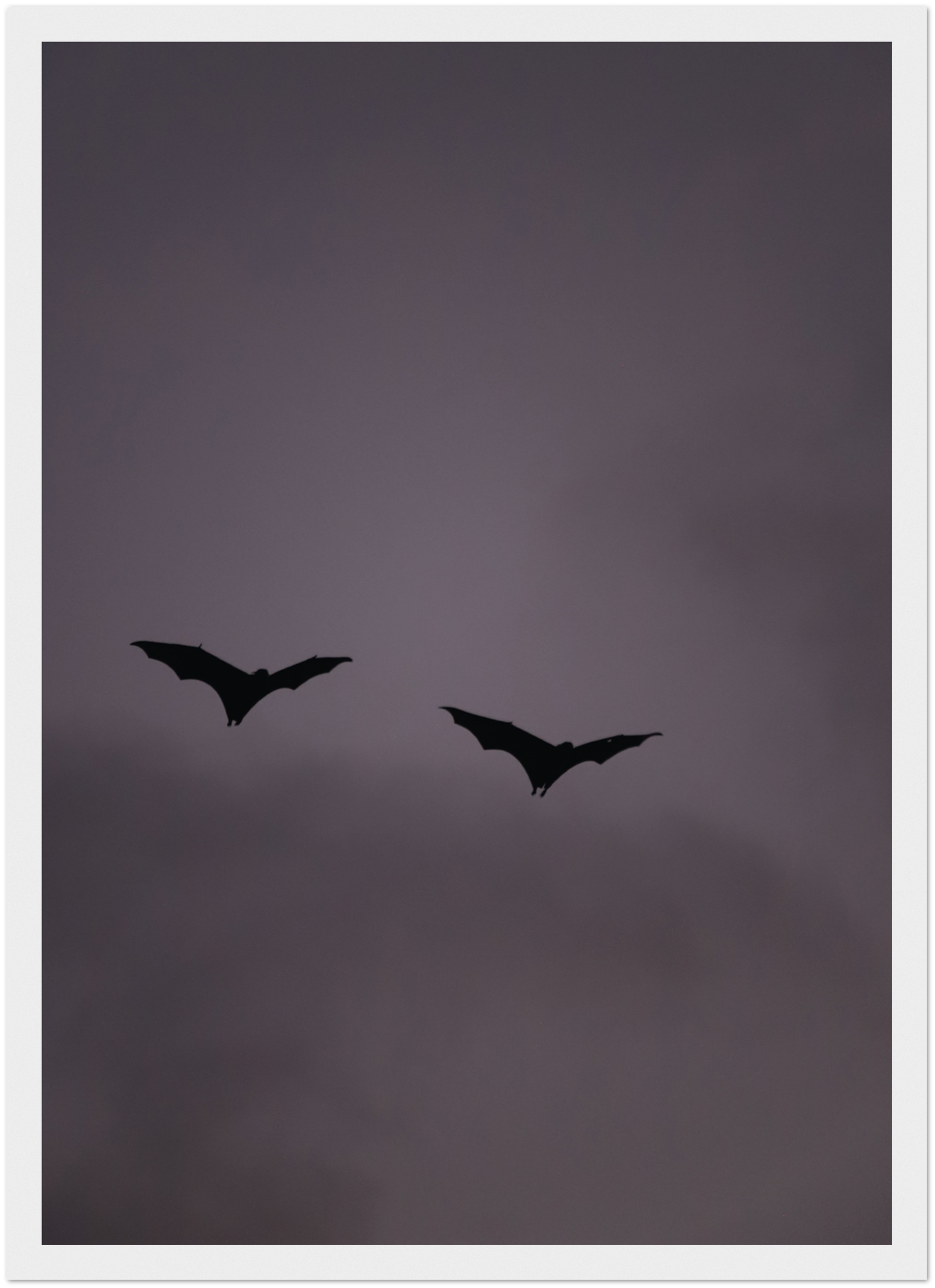 c7555f1d-4ae6-45f2-8477-58bca45b71a8