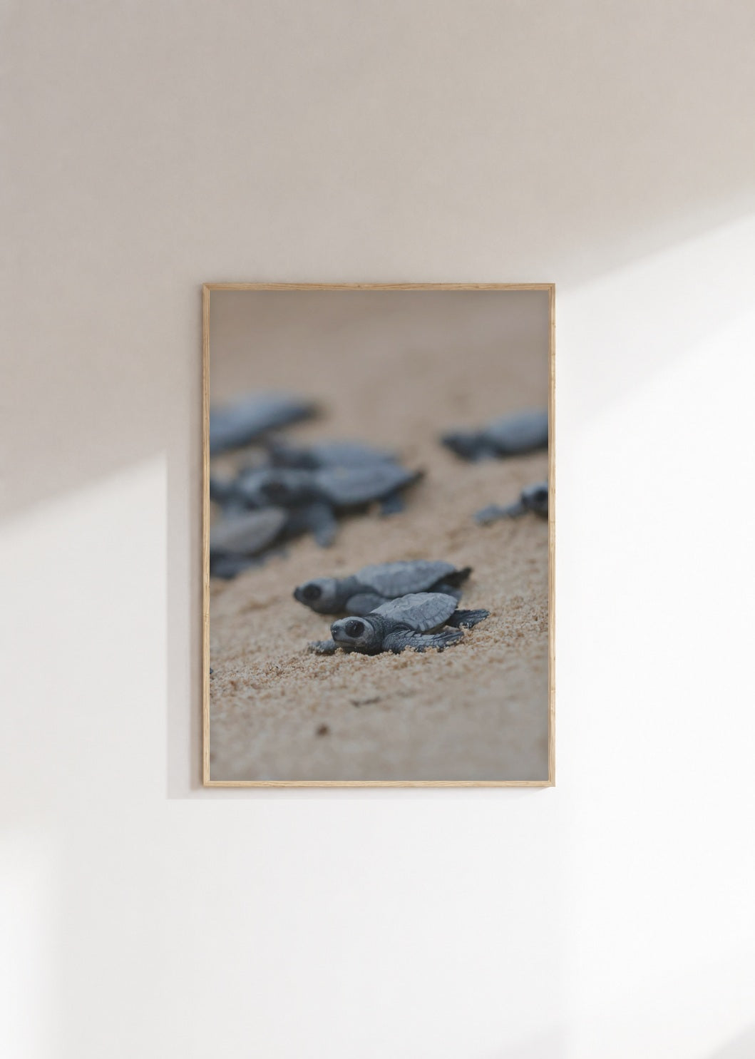poster-0065 Mockup 3