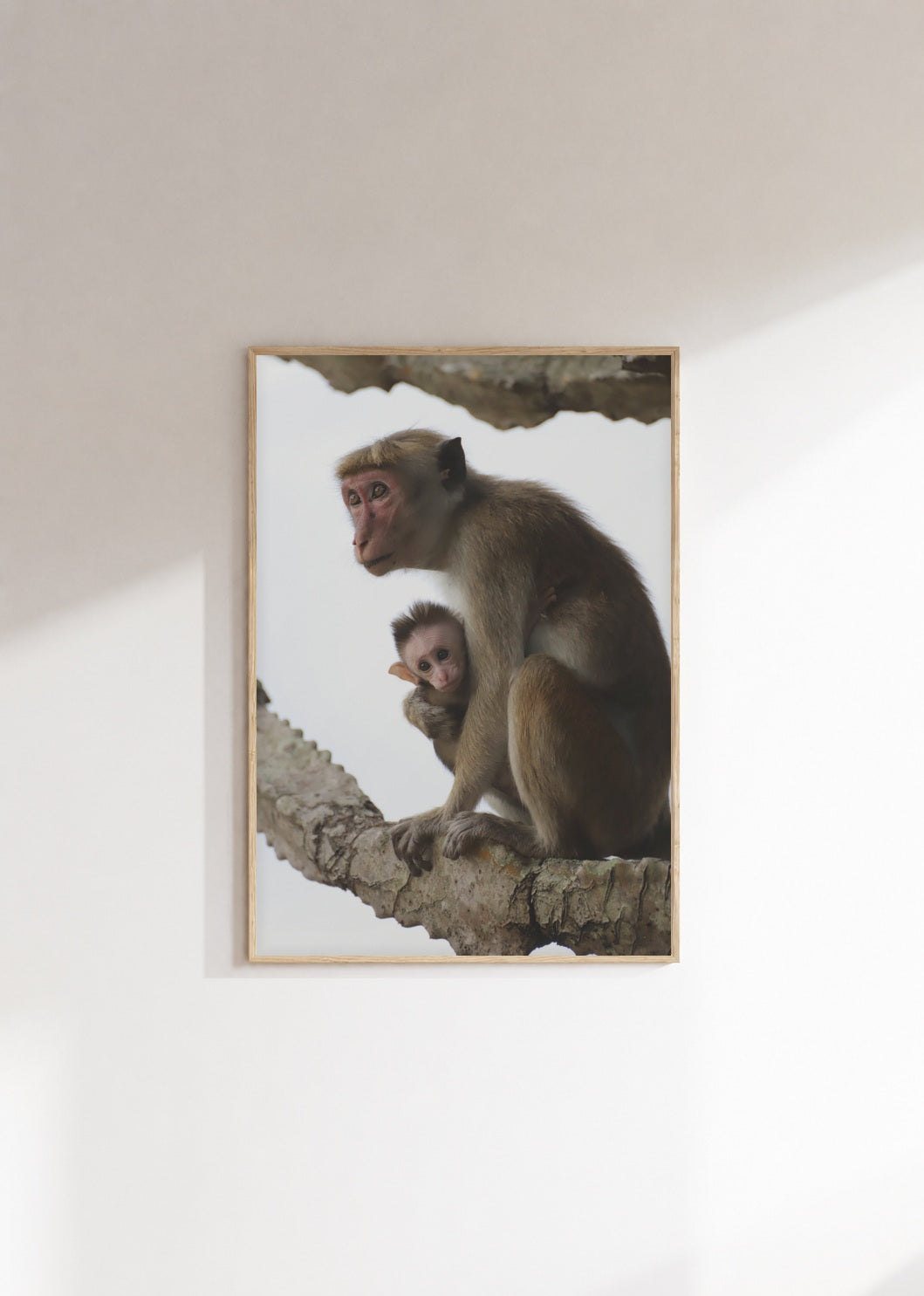 poster-0089 Mockup 3