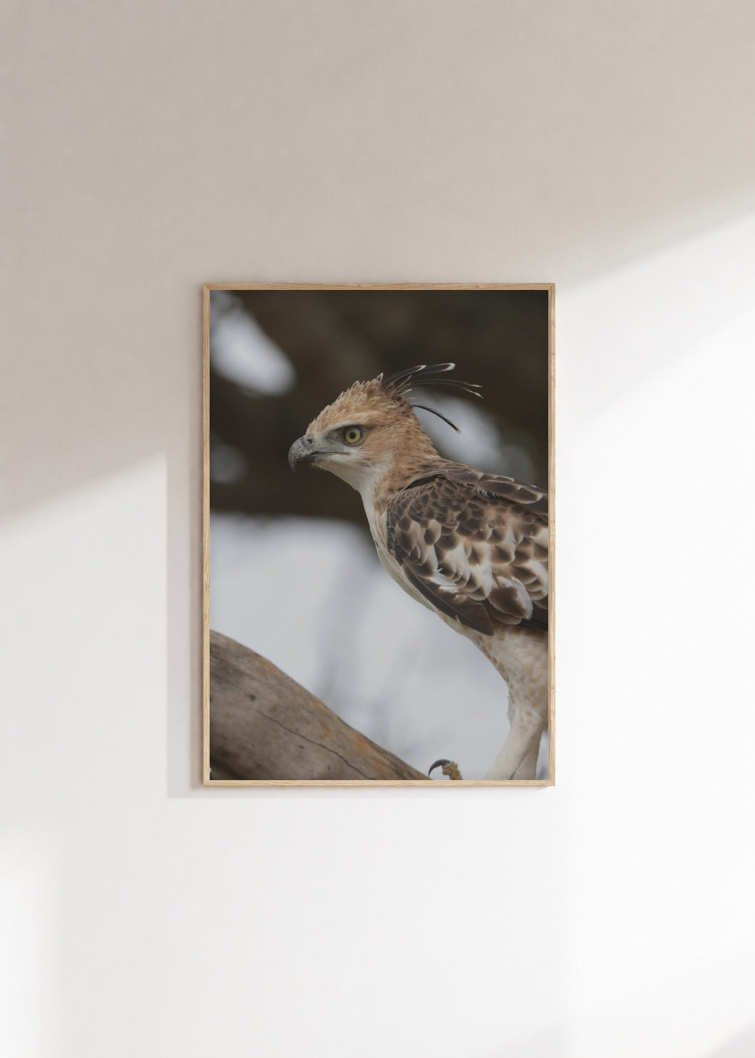 poster-0091 Mockup 3